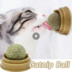 Bola Digestiva Catnip